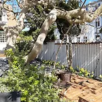 Holsteinshus Bed & Breakfast